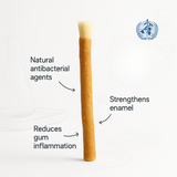 Miswak — Escova Dentária Natural