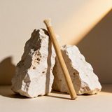 Miswak — Escova Dentária Natural