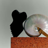 Pro Gua Sha Tool