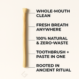 Miswak — Escova Dentária Natural